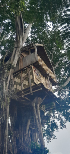 Exterior & Views, Glowing view tree house and Bangalow, Whitesands