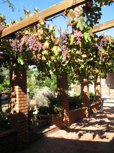 Others 4, Quinta Maria en la Ruta del Vino, Ensenada