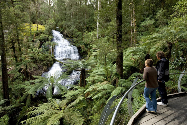 Others 3, Johanna River Farm & Cottages, Colac-Otway - South