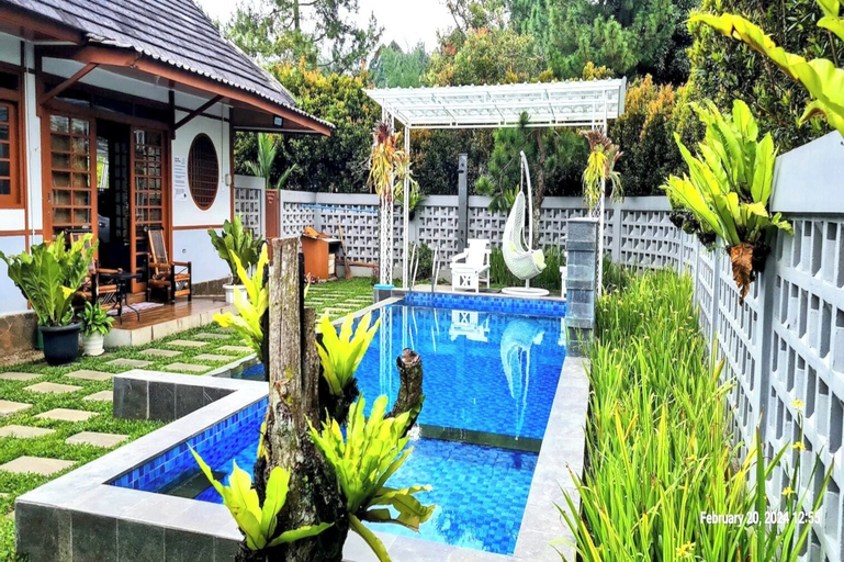 Swimming Pool 11