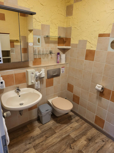 Bathroom 4, Waldgasthaus Am Schwarzenbruch, Birkenfeld