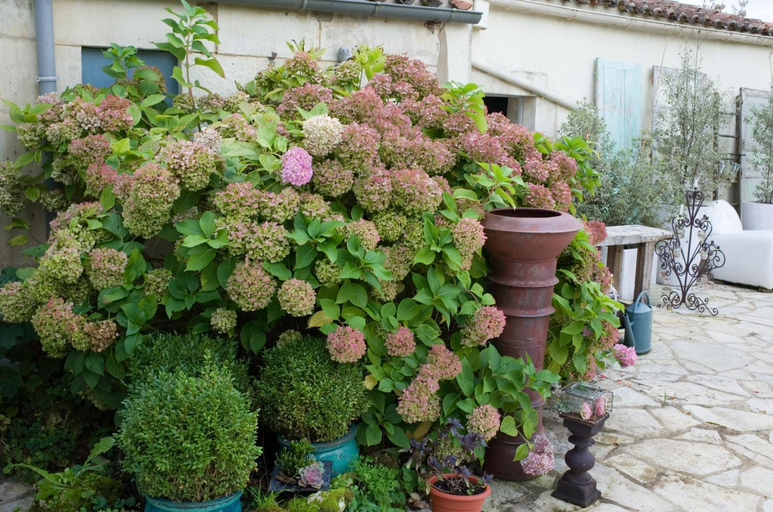 Others 4, Maison d'Aliénor, Charente-Maritime
