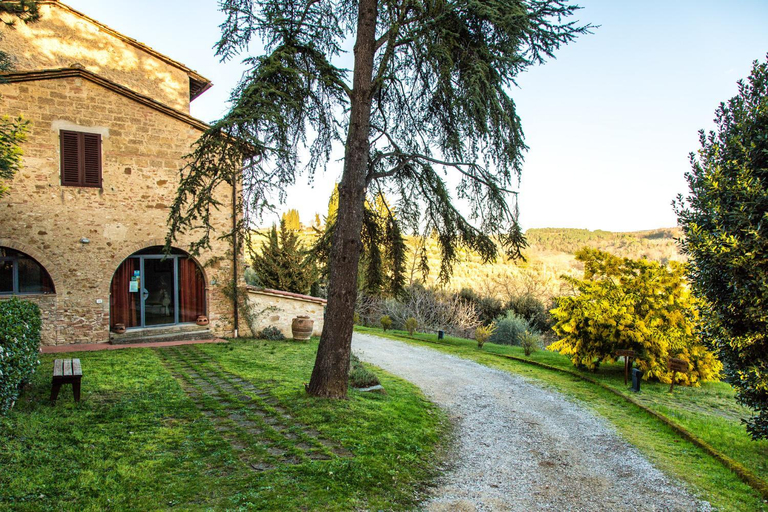 Public Area, Borgo Poneta, Florence