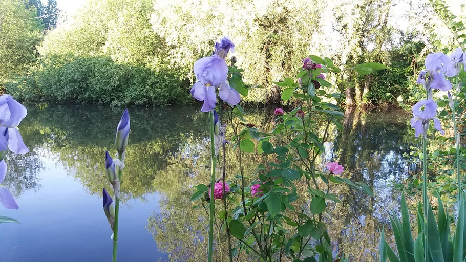 Scenery 6