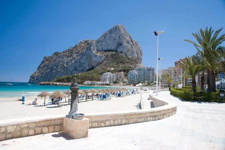 Others 4, Villa Cactus - PlusHolidays, Alicante