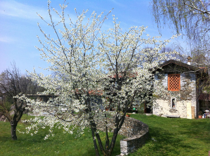 Il Ciliegio Selvatico, Verbano-Cusio-Ossola