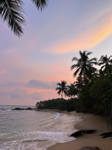 Others 5, Anestwella, Tangalle