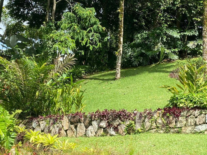 Others 2, Tropical Contemporary Suites, Parati