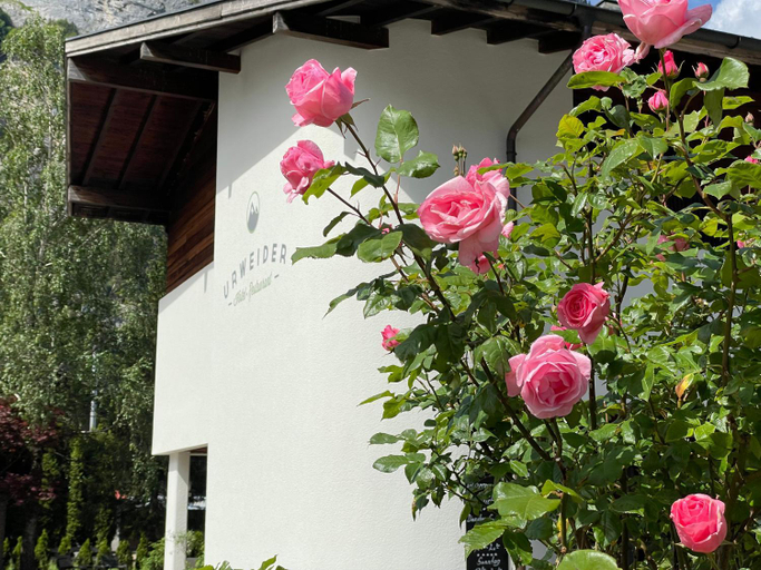 Hotel Restaurant Urweider, Oberhasli