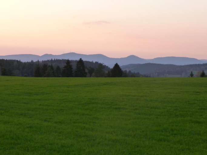 Others 3, Landgasthof Zum Schwanen, Ortenaukreis
