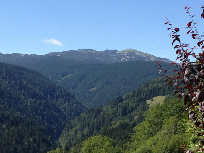 Others 5, Berggasthof Hintergfoll, Zell am See