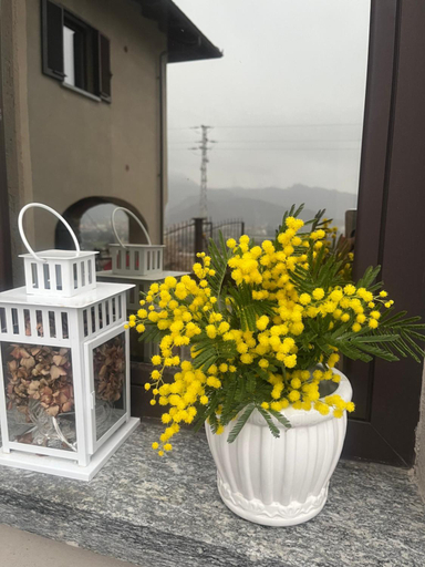Others 4, Tenuta Rella, Cuneo