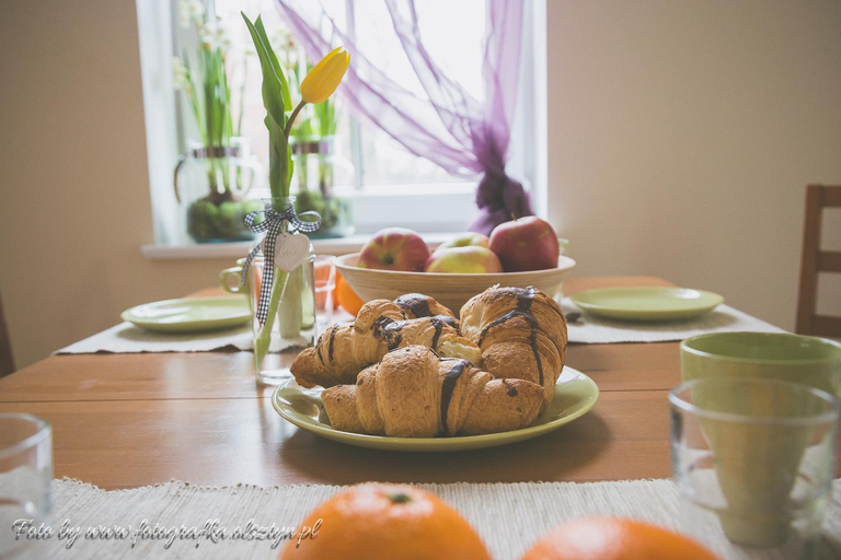 Others 2, Apartamenty przy Zamku, Olsztyn City