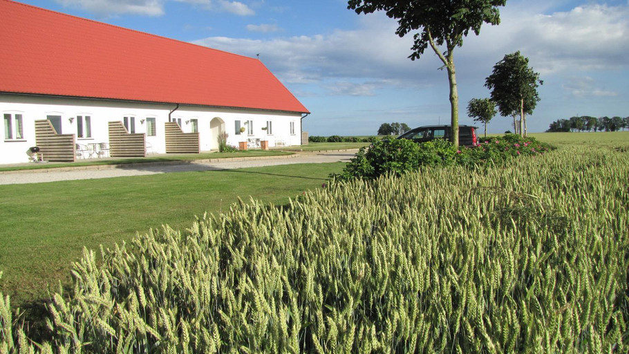 Others 5, Skonadal B&B, Simrishamn