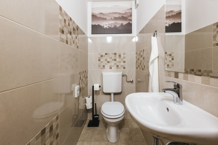 Bathroom 3, Domačija Log v Bohinju, Bohinj