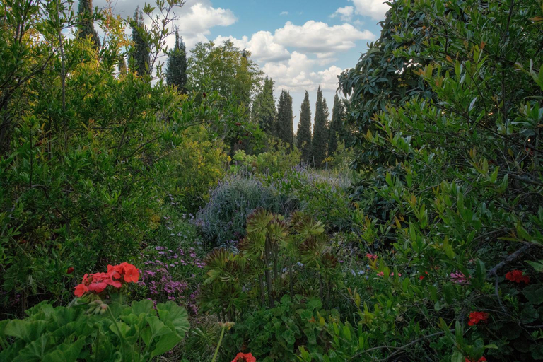 Scenery 6
