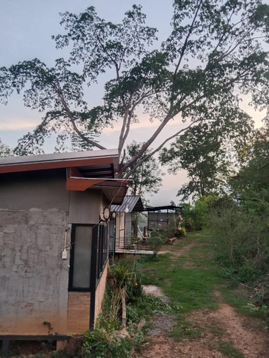 Exterior & Views 1, Doi Sang Farm Stay - ดอยซางฟาร์มสเตย์, Wiang Sa