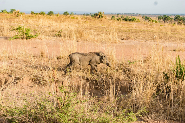 Others 5, Sambiya River Lodge, Kibanda
