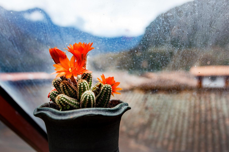 Food & Drinks 4, Hotel Inka King, Urubamba
