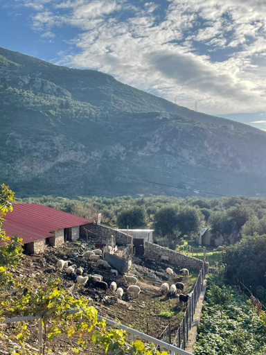 Others 3, FarmHouse Qeparo, Vlorës