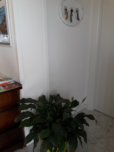 Others 3, B&B A Un Passo Da, Treviso