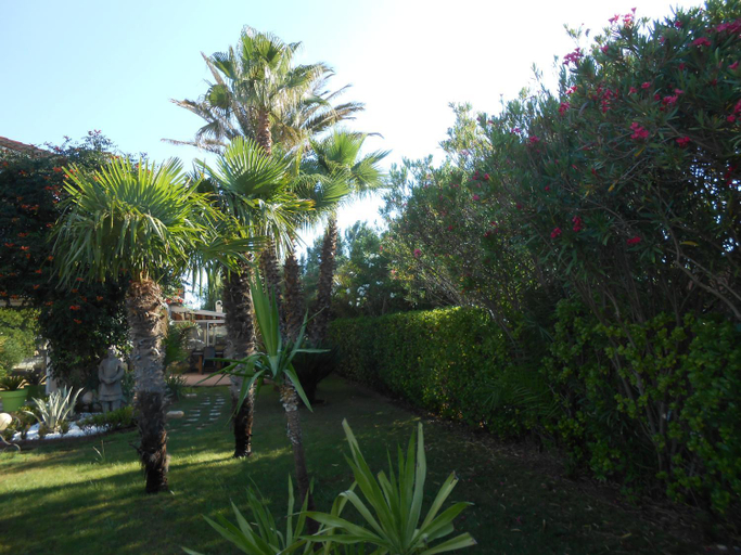 Others 5, Maison Monica Exeptionnel-Jardin paysage ZEN, Aude