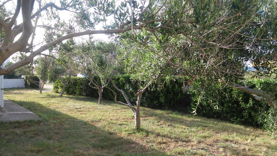 Garden 3, Apartments Gabriel, Nin
