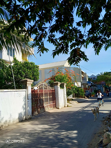 Scenery 11