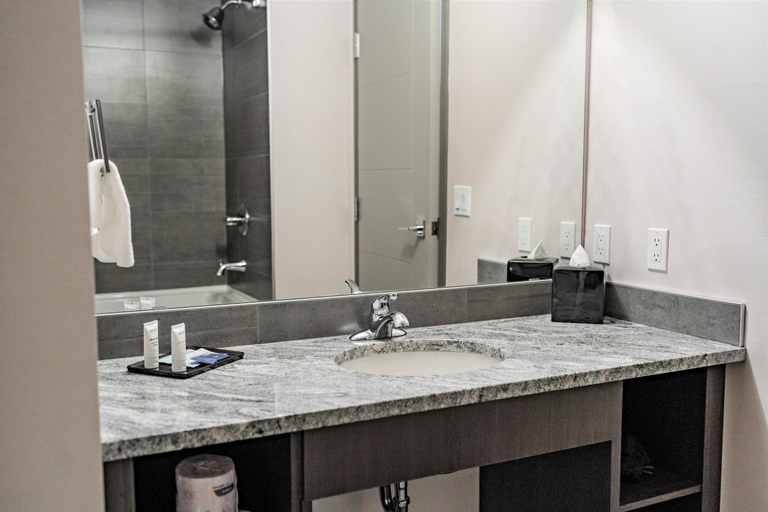 Bathroom 4, Park Inn by Radisson Edmonton Airport, Division No. 11