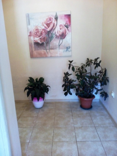 Facilities 2, Apartments Dijana