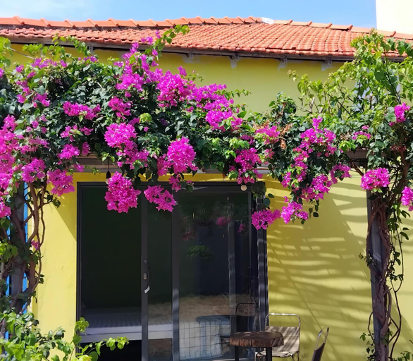 Exterior & Views 1, Chunlii Homestay, Hàm Thuận Nam