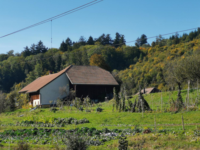 Others 5, Jurastei 16, Wangen