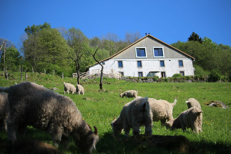 Others 5, La Ferme sous les Hiez, Vosges
