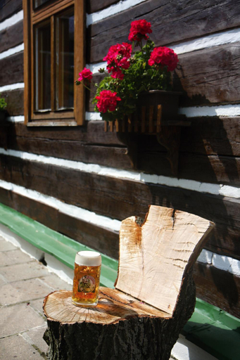 Food & Drinks 5, Horska chata Amor, Trutnov