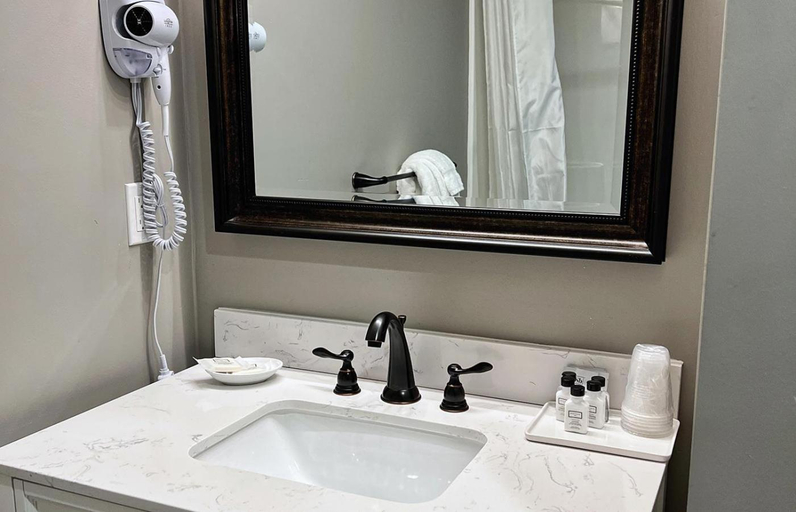 Bathroom 3, The Inn at Elijah McLeans, Franklin