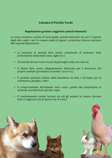Others 3, Colonica Il Picchio Verde, Lucca