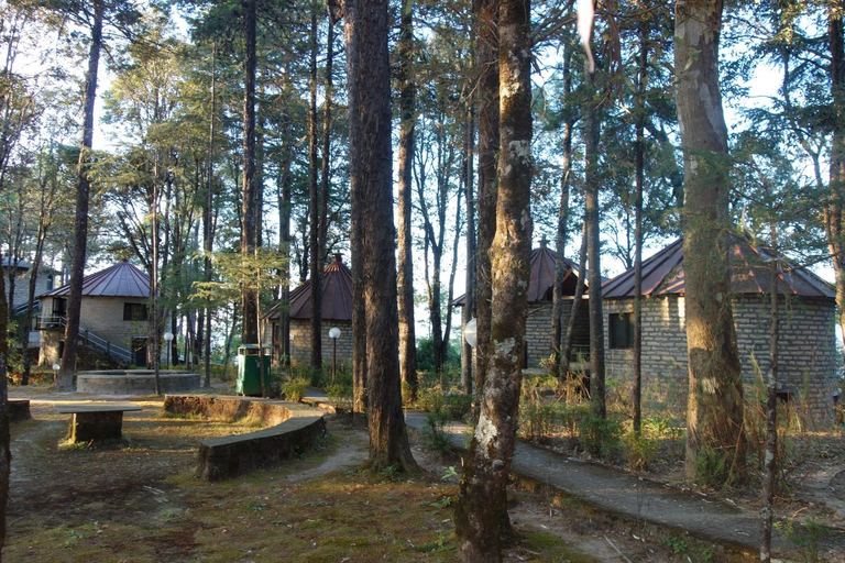 Others 5, Khali Estate, Almora
