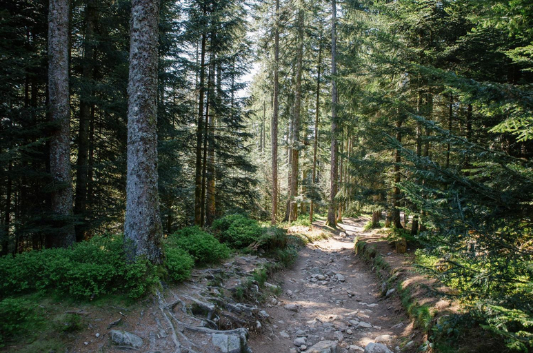 Others 3, Le Refuge du Cerf, Vosges