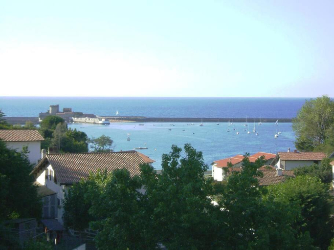 Others 4, Le Cedre Bleu, Pyrénées-Atlantiques
