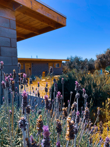 Others 5, Sn Tony Hotel & Spa, Ensenada