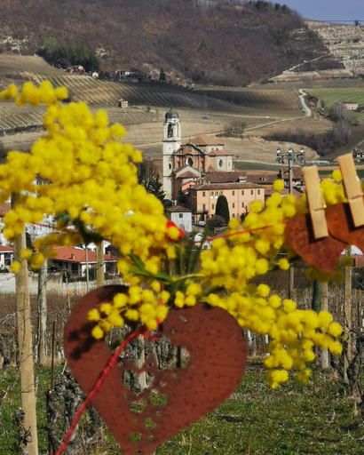 Others 3, Agriturismo Mondo, Asti