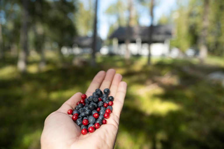 Food & Drinks, Fishing and holiday village Merikoivula, Finland Proper