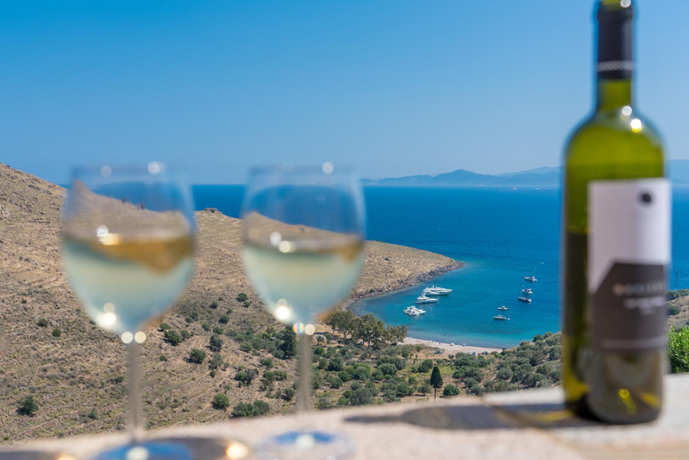 Facilities 3, Thea Villas Aegina, Attica