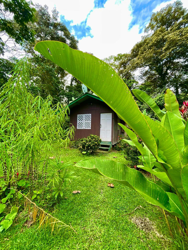 Others 2, Alouatta Lodge and Canopy, Talamanca