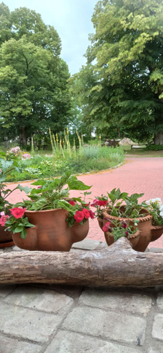 Others 3, Agroturystyka Gandelinka Park Kedrzyno, Kołobrzeg