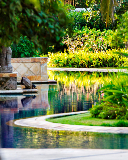 Swimming Pool 12