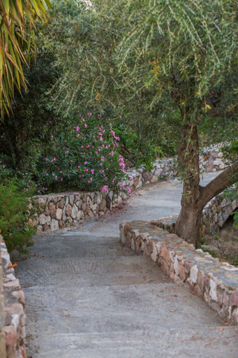 Others 5, Georgia's Houses - Melitzanakia, Peloponnese