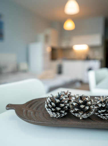 Others 4, Cozy little apartment in Studentski grad, Stolichna
