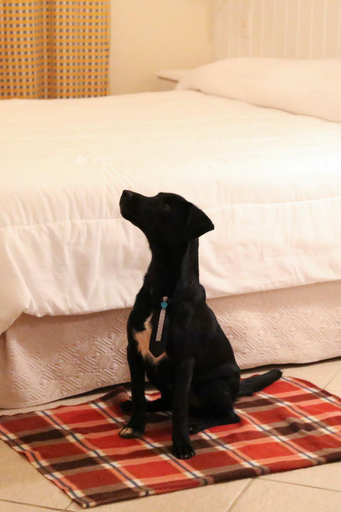 Bedroom 3, Vitoria Hotel Residence NewPort, Campinas