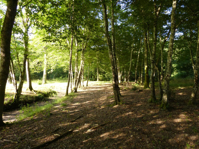 Others 5, Chateau de Souesmes, Loir-et-Cher